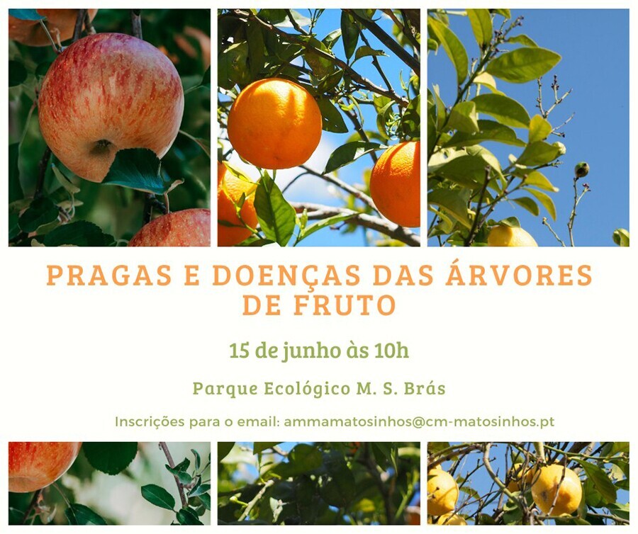 Pragas e Doen&ccedil;as das &Aacute;rvores de Fruto