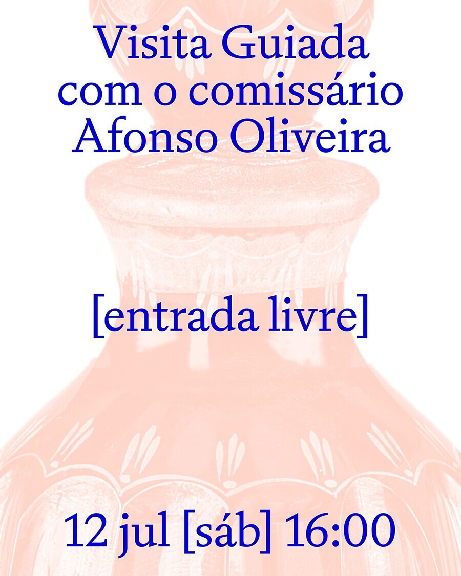 Visita guiada com o comiss&aacute;rio Afonso Oliveira