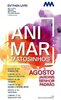 Animar Matosinhos