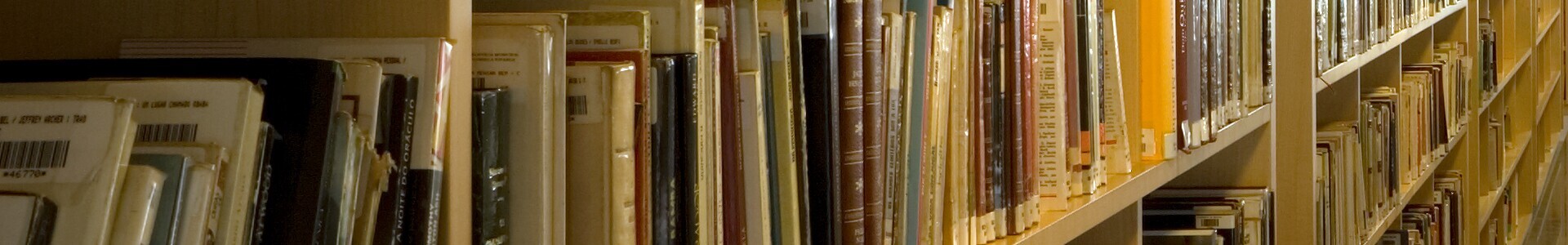 imagem bibliotecas 2